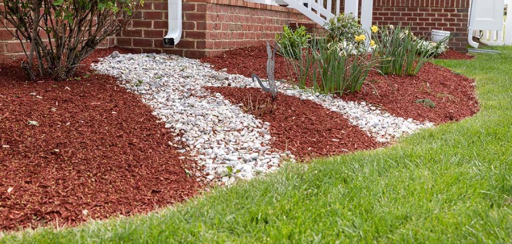 How to Fix Overwatered Lawn