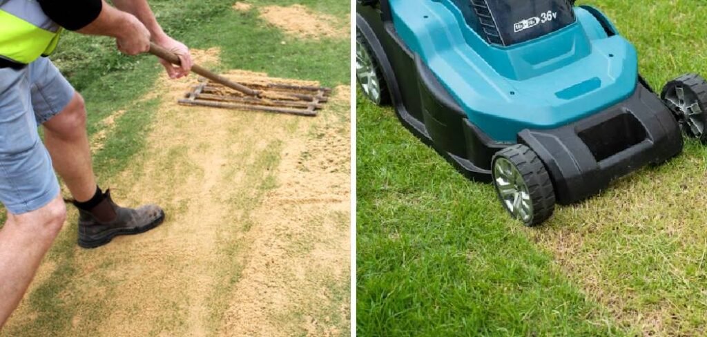 How to Fix Scalped Lawn