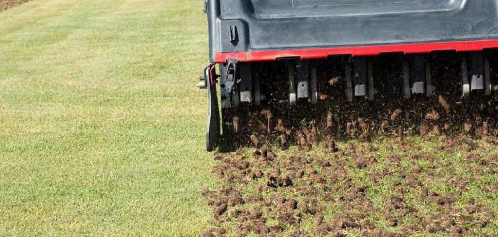 How to Fix Spongy Lawn