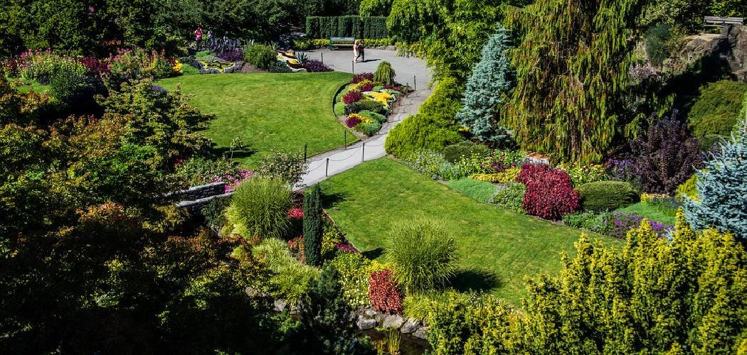 How to Fix Sunken Spots in Lawn