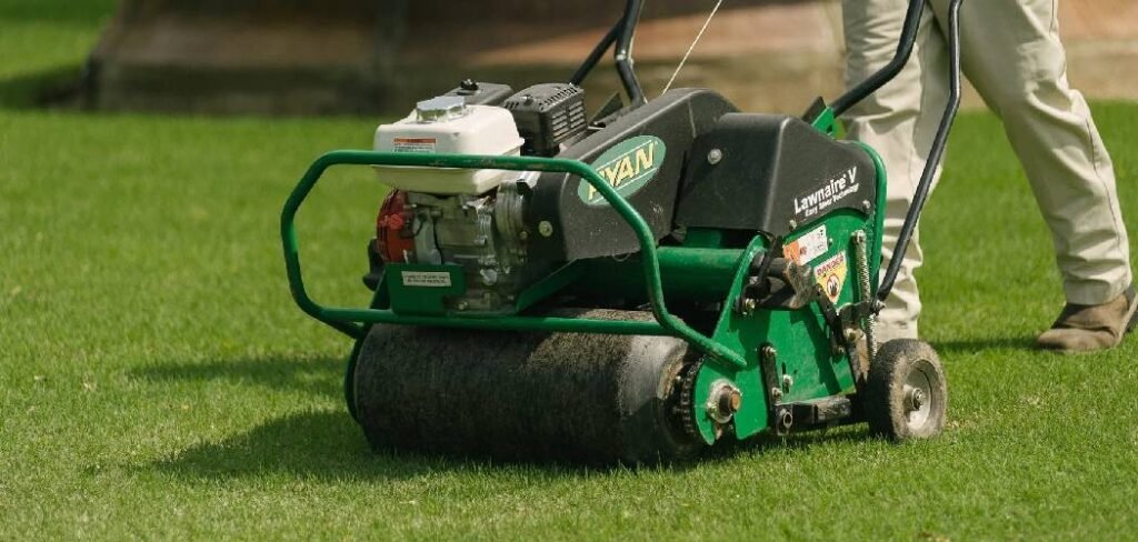 How to Fix a Thin Lawn
