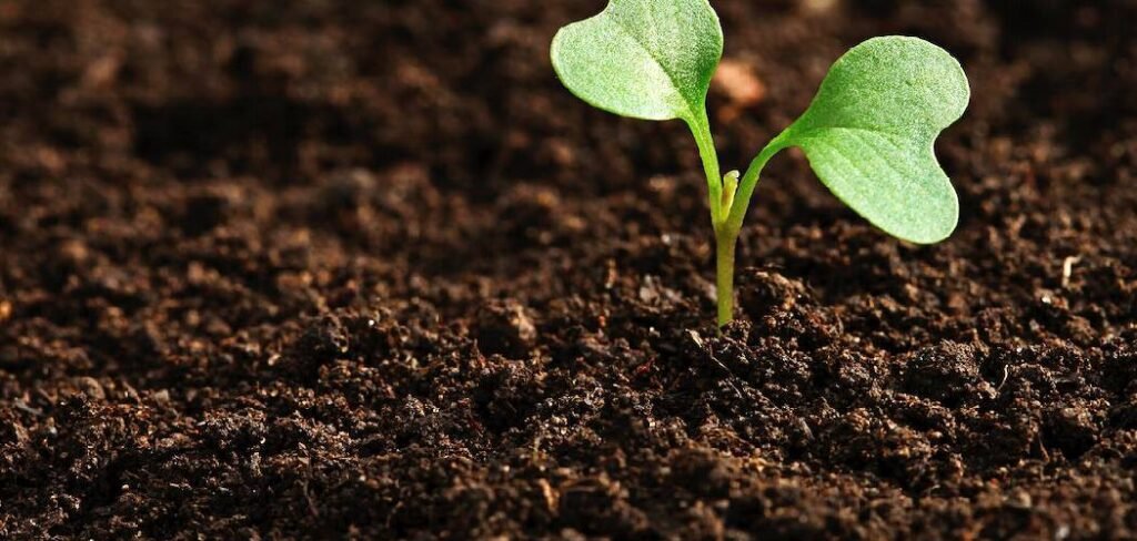 How to Get Microbes into Soil