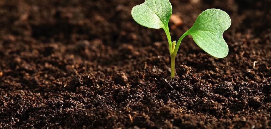 How to Get Microbes into Soil