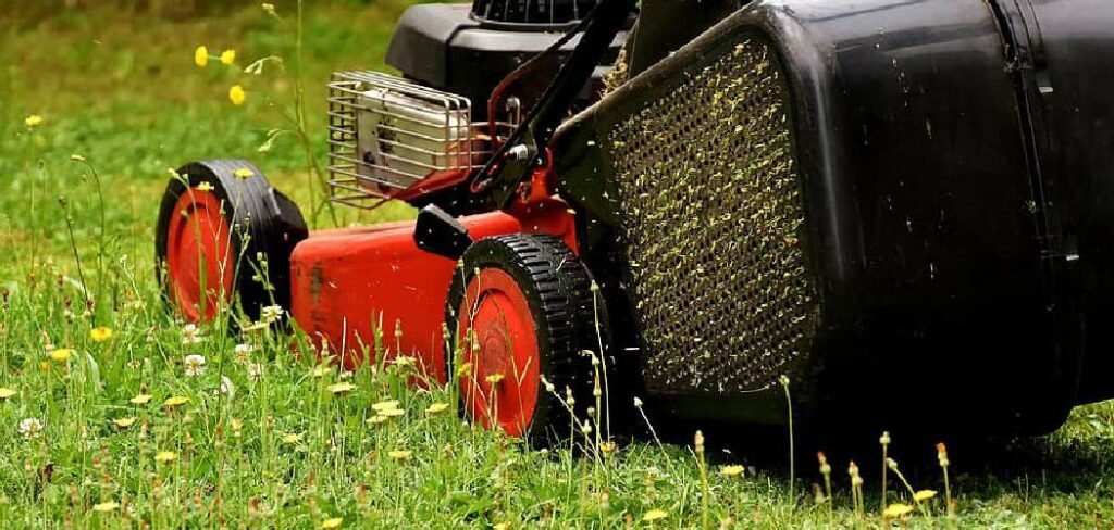 How to Get Water Out of Lawn Mower Gas Tank