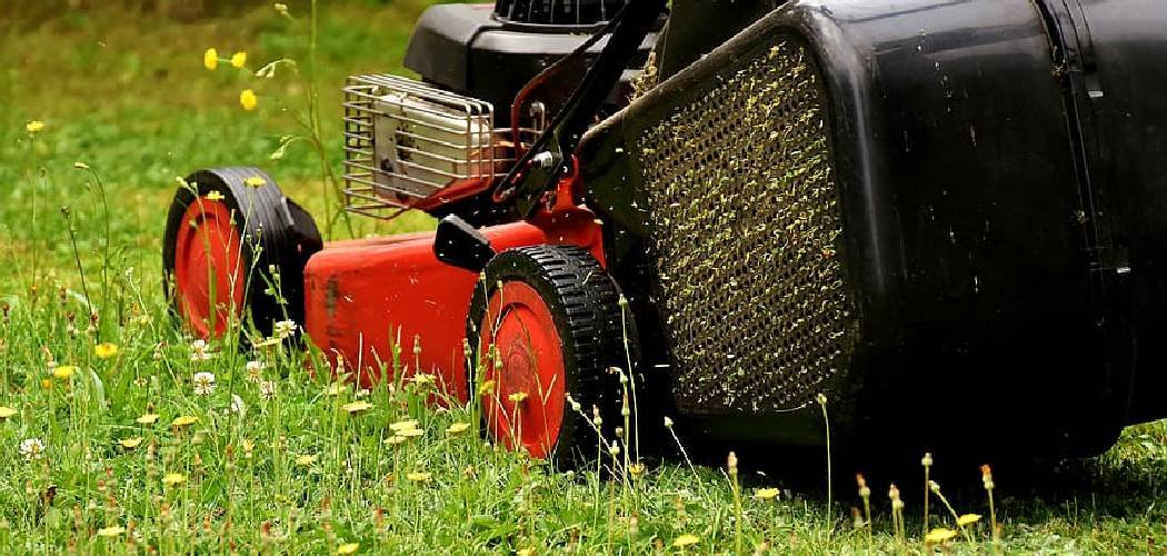 How to Get Water Out of Lawn Mower Gas Tank