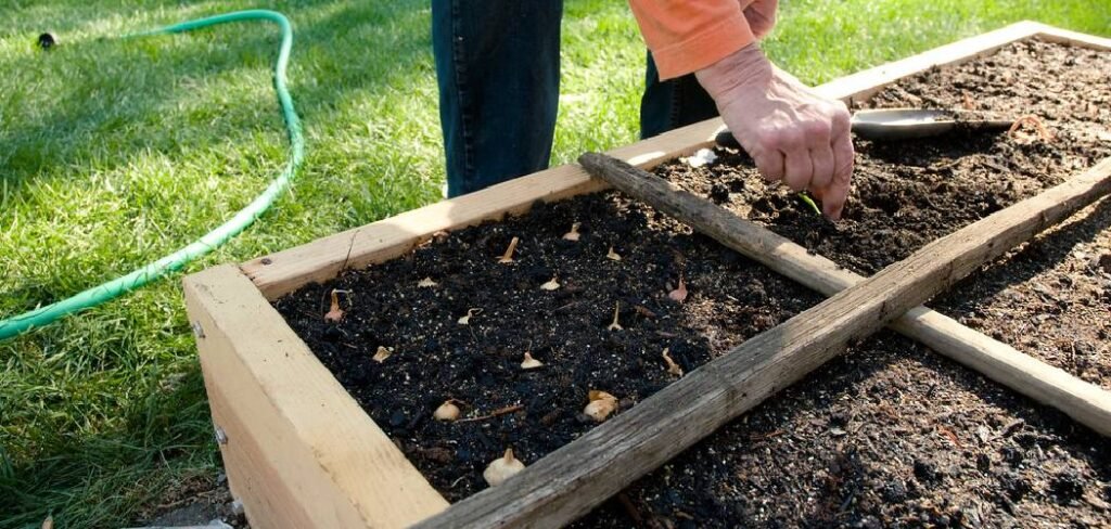 How to Irrigate Raised Beds