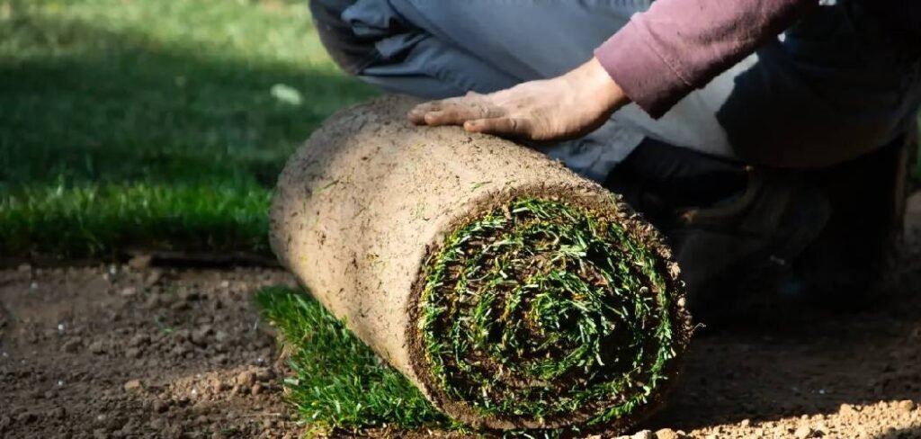 How to Lay Down Sod Over Existing Lawn