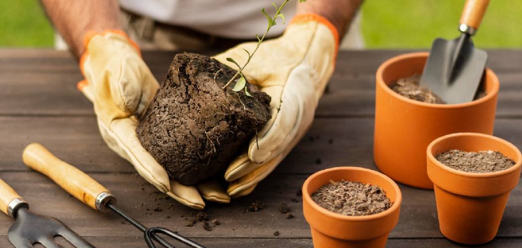 How to Lower Soil pH in Potted Plants