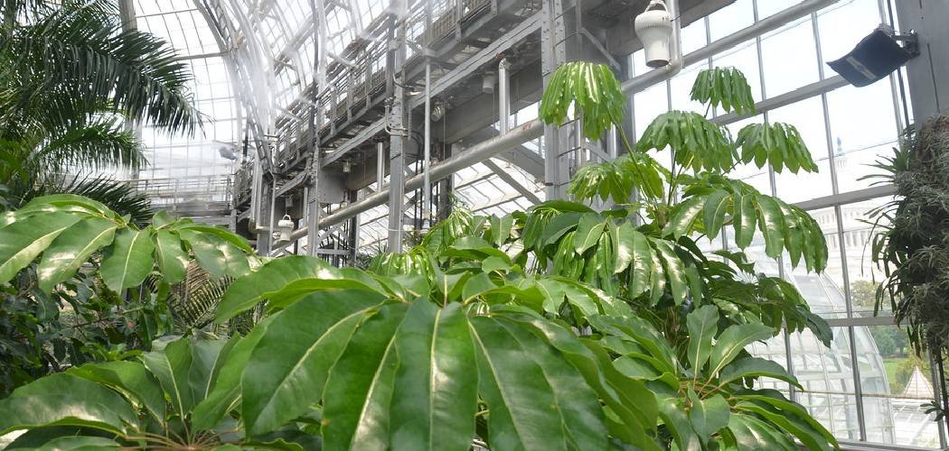 How to Maintain Greenhouse Temperature