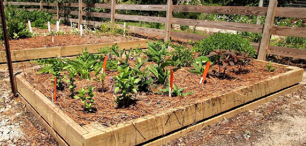 How to Make a Herb Garden Box