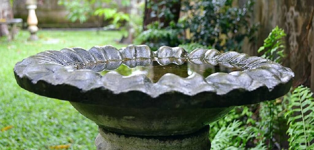 How to Make a Succulent Garden in a Bird Bath