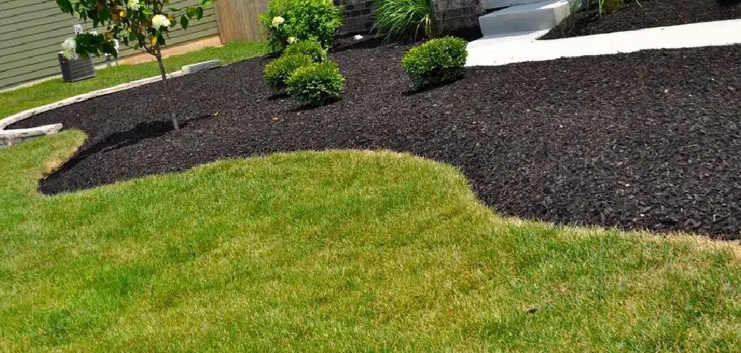 How to Sand Level Lawn