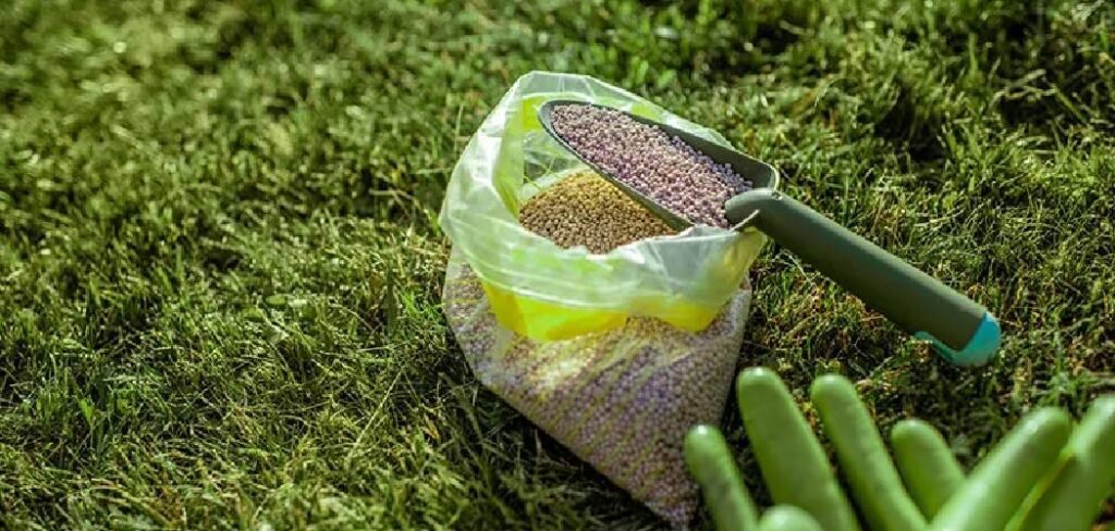 How to Seed Clover Into Lawn