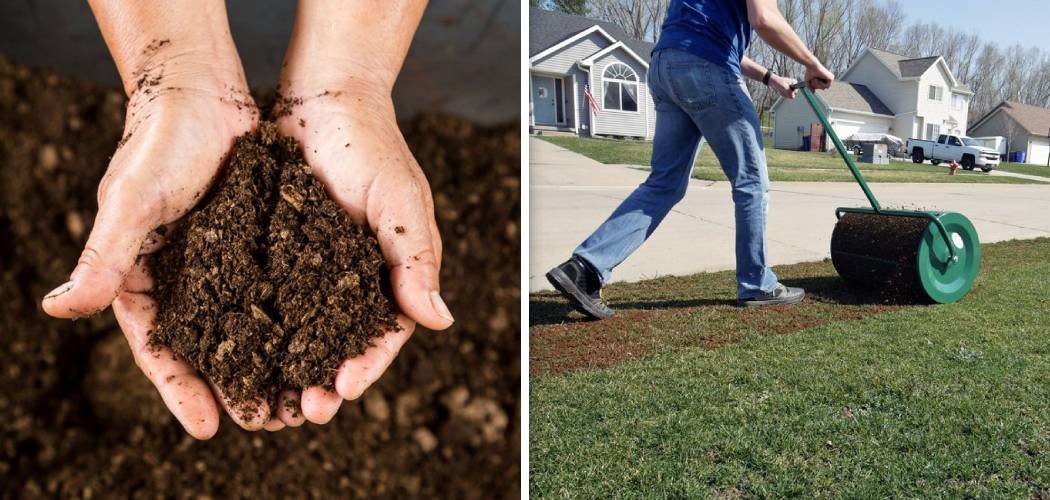 How to Spread Peat Moss on Lawn