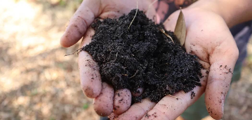 How to Start No Till Garden