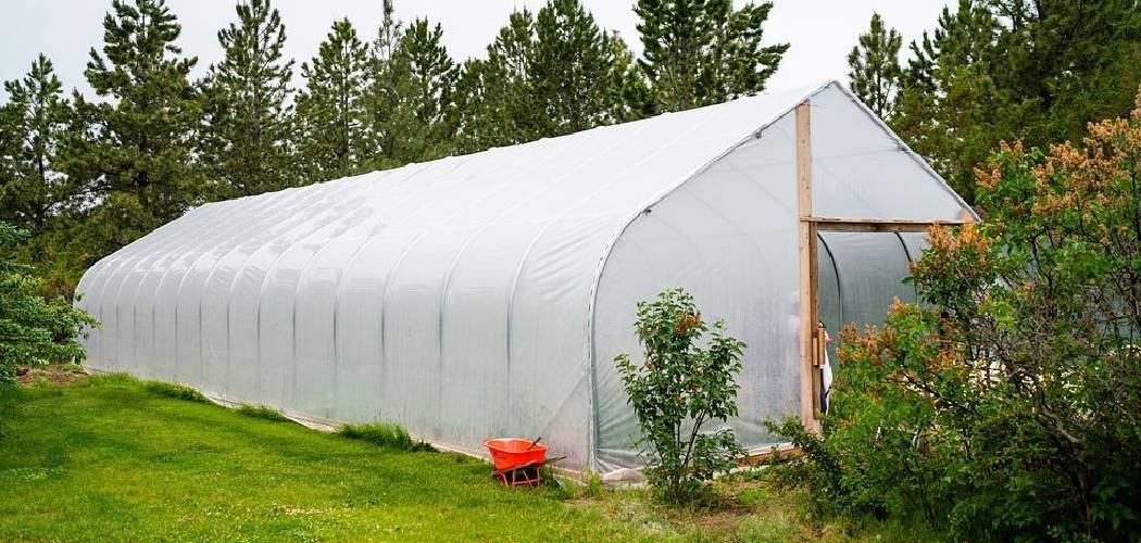 How to Stop Plastic Greenhouse Blowing Away