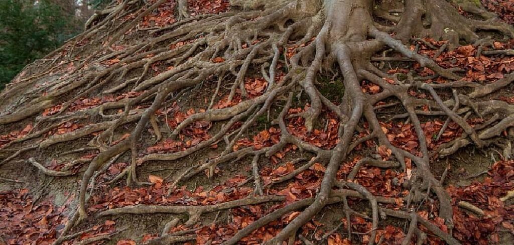 How to Stop Tree Roots from Sprouting in Lawn