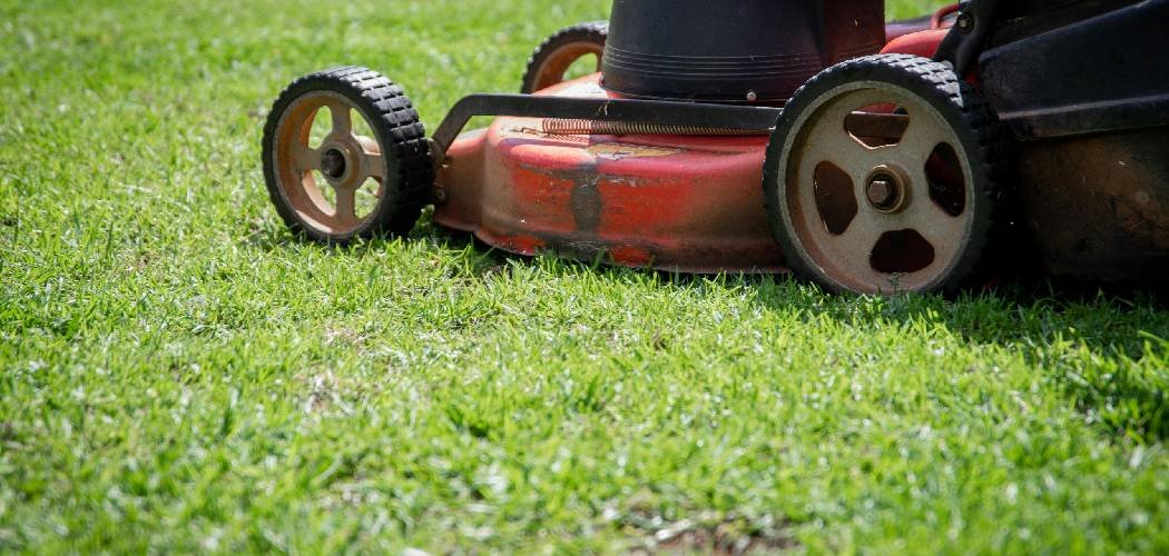 How to Store a Lawn Mower