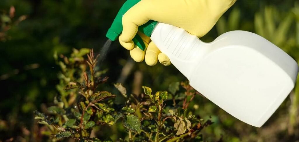 How to Use Garden Safe Fungicide 3 Spray