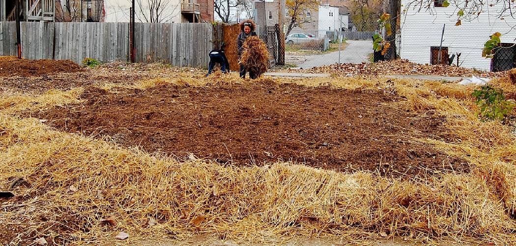 How to Use Horse Manure in Garden