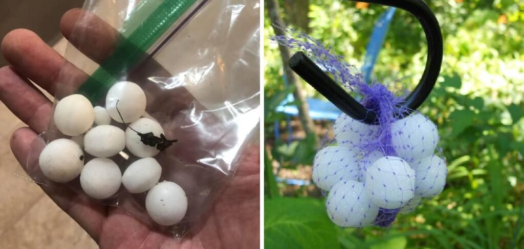 How to Use Mothballs in Garden