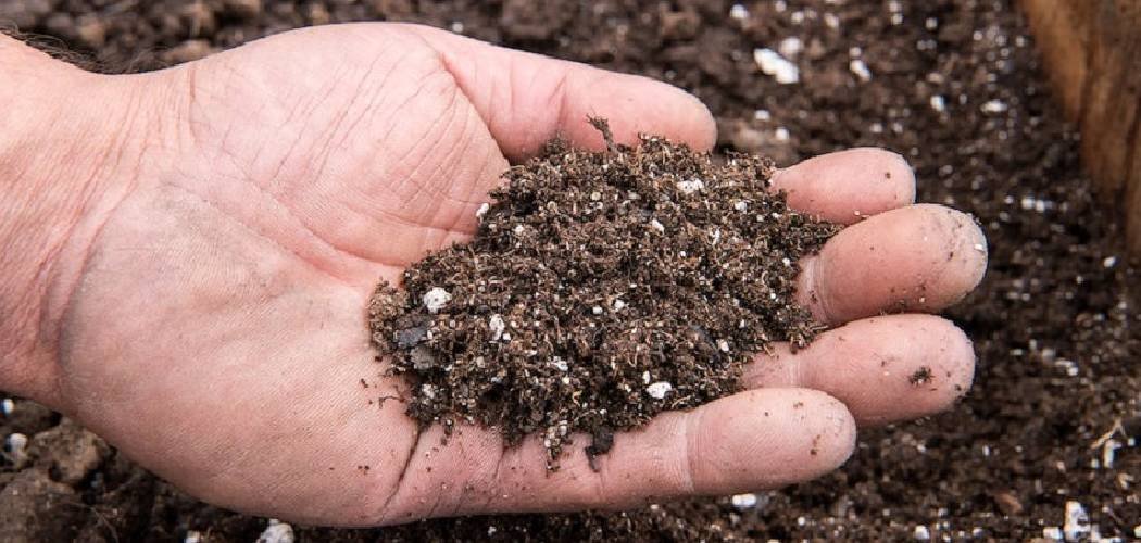 How to Use Soil Conditioner