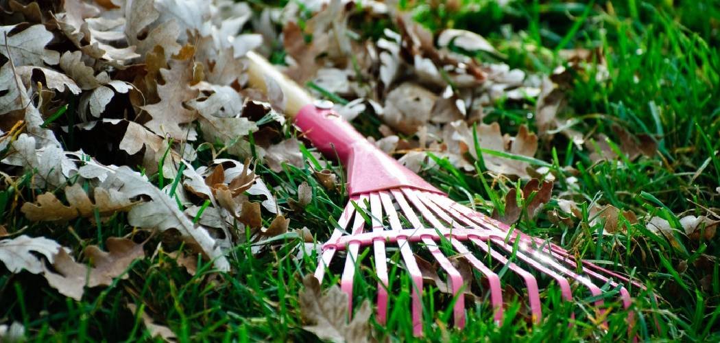 How to Use a Lawn Leveling Rake