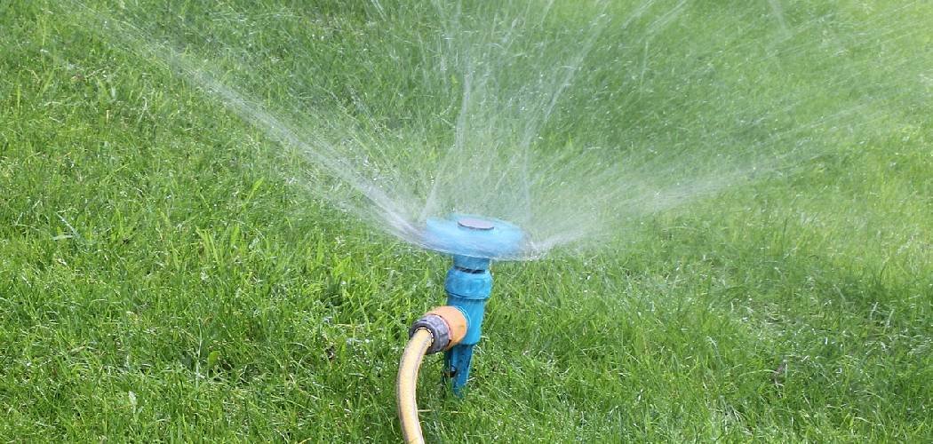 How to Water Lawn with Hose