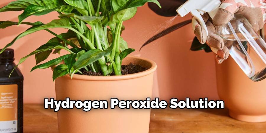 Hydrogen Peroxide Solution