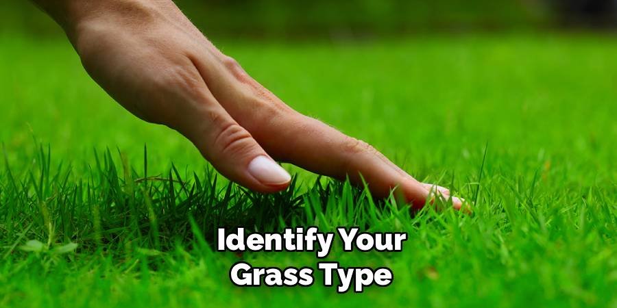 Identify Your Grass Type