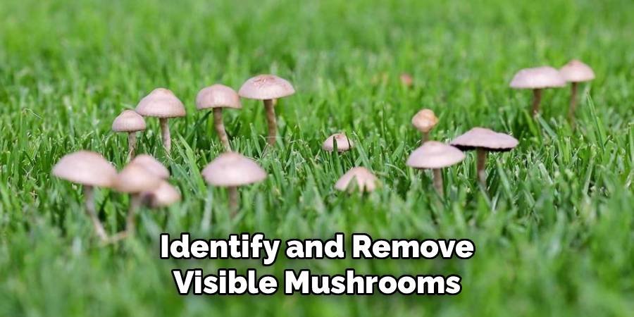Identify and Remove Visible Mushrooms