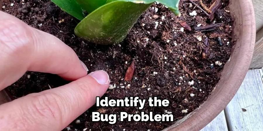 Identify the Bug Problem