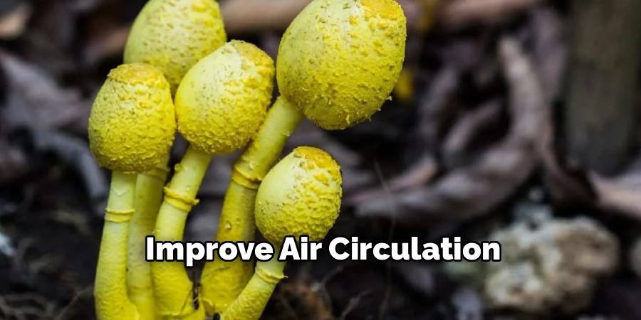 Improve Air Circulation
