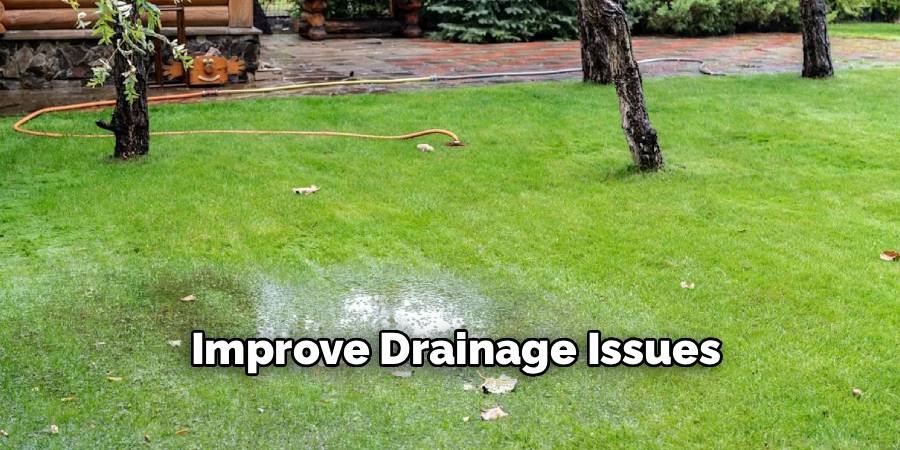 Improve Drainage Issues