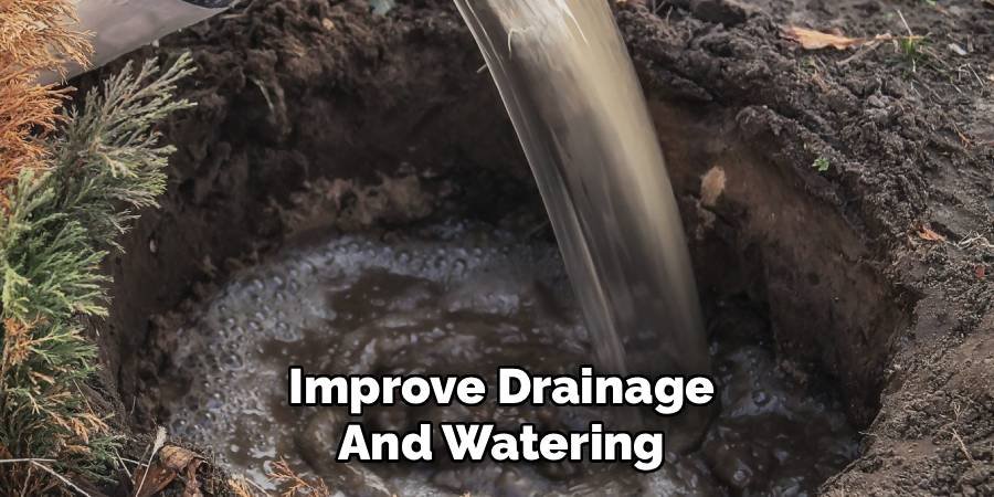 Improve Drainage and Watering