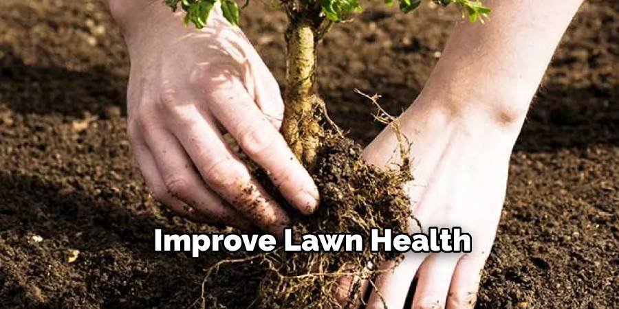 Improve Lawn Health