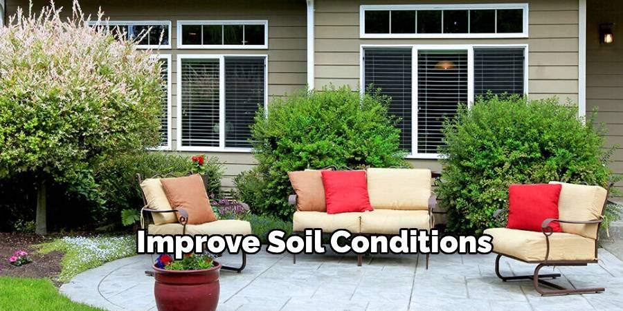 Improve Soil Conditions