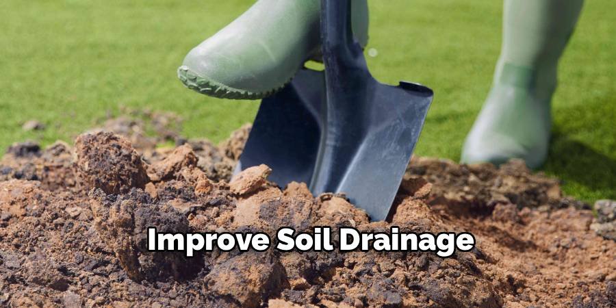 Improve Soil Drainage