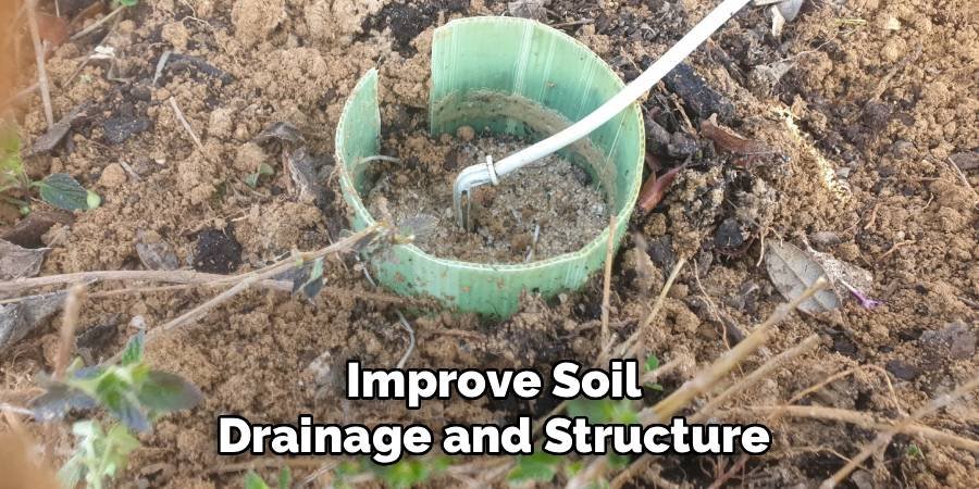 Improve Soil Drainage and Structure