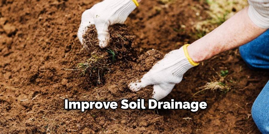 Improve Soil Drainage