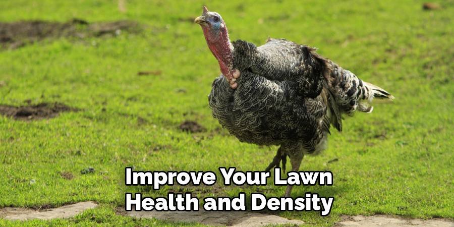 Improve Your Lawn Health and Density