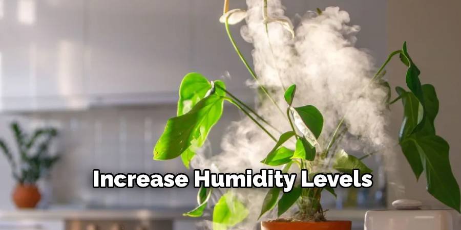 Increase Humidity Levels