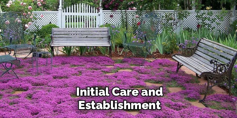 Initial Care and Establishment