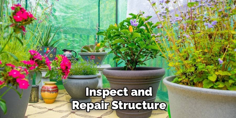 Inspect and Repair Structure