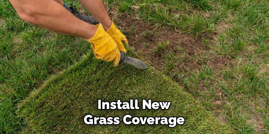 Install New Grass Coverage