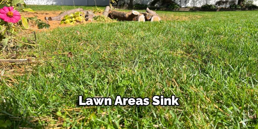 Lawn Areas Sink