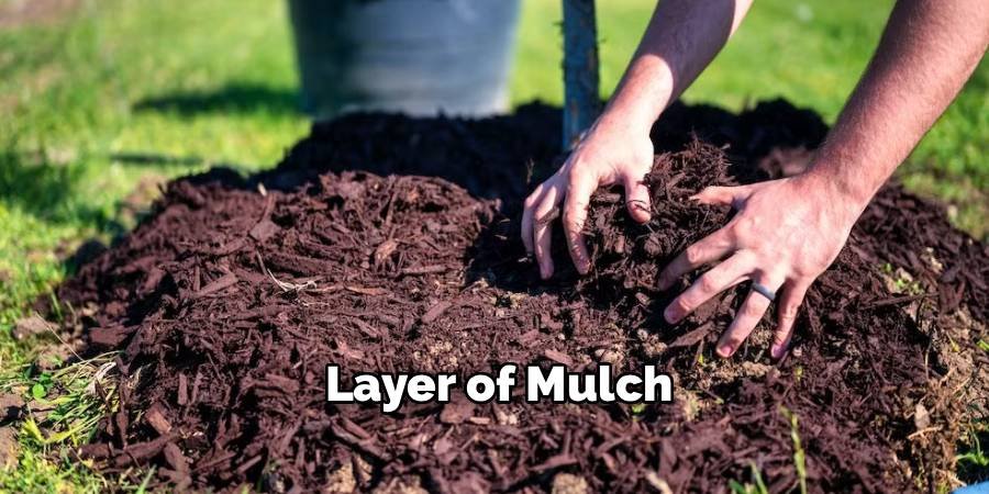 Layer of Mulch