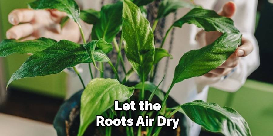Let the Roots Air Dry