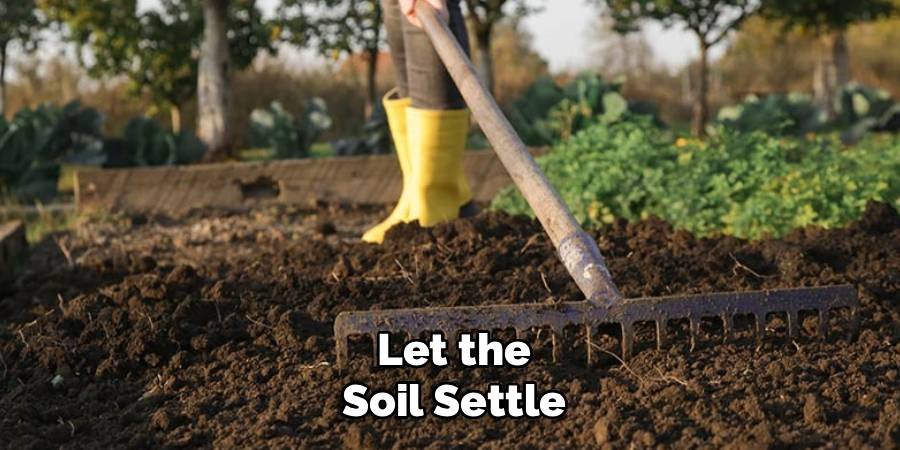 Let the Soil Settle