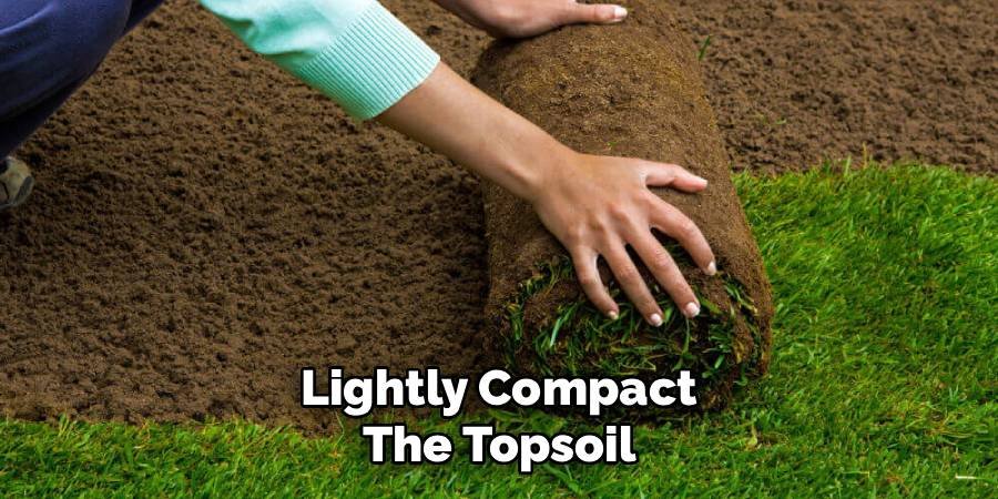 Lightly Compact the Topsoil